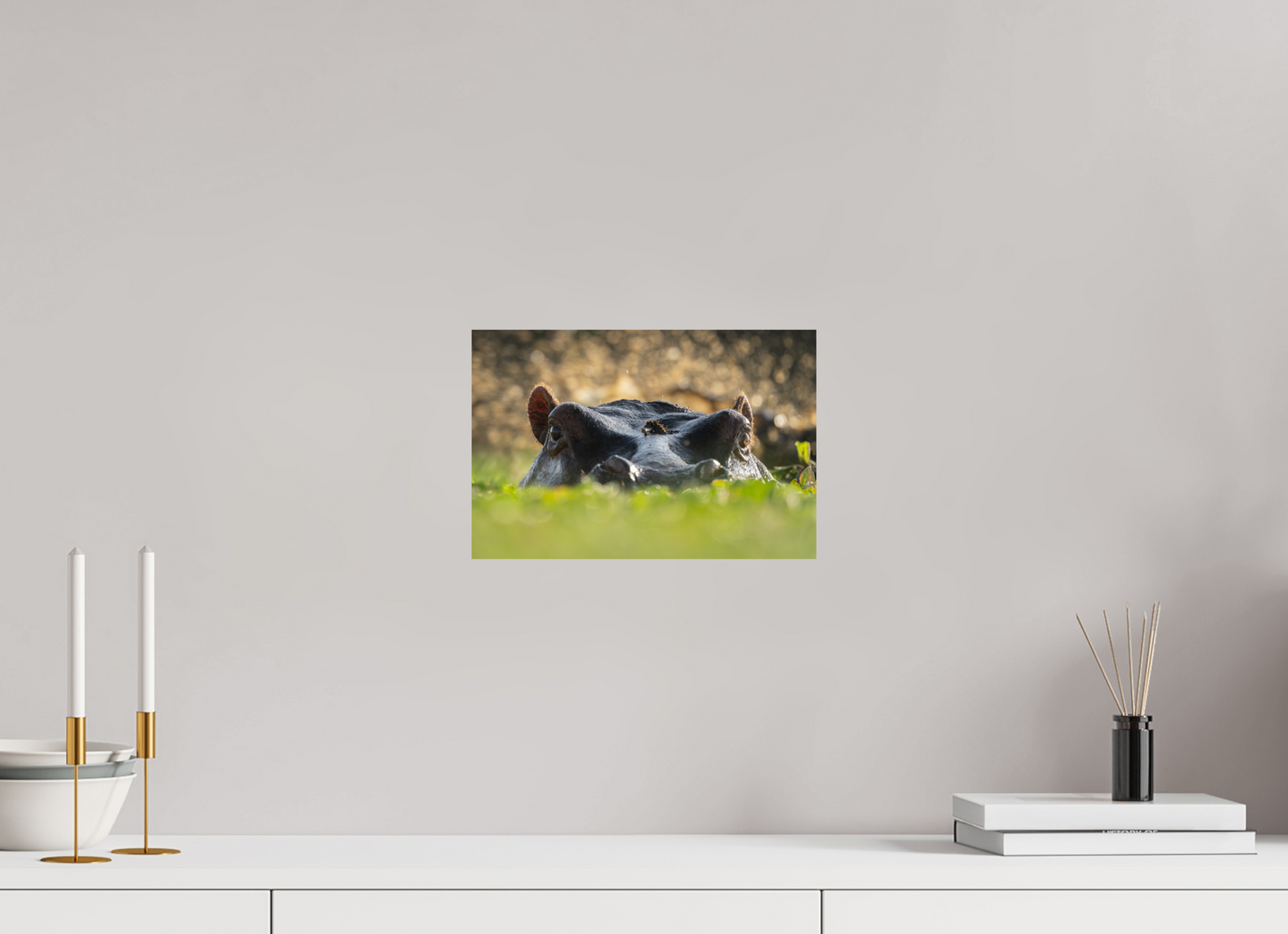 Hippo - Fine Art Photo Print