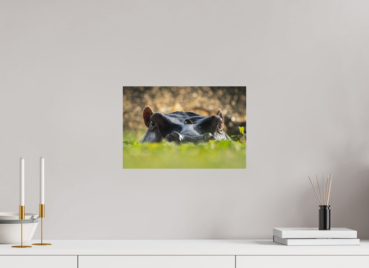 Hippo - Fine Art Photo Print