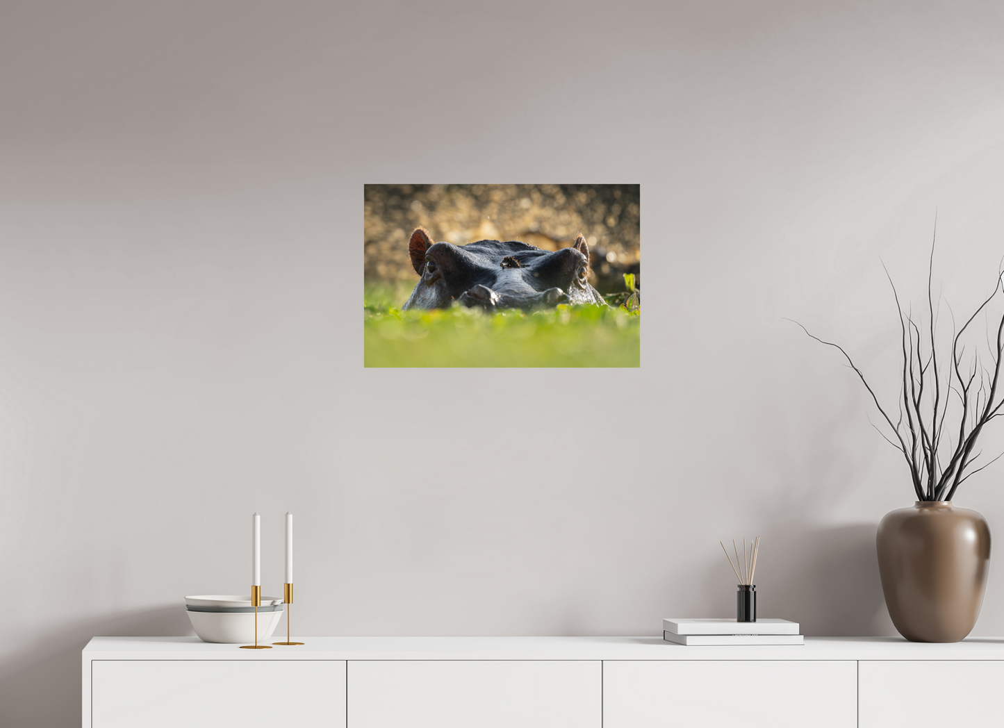 Hippo - Fine Art Photo Print
