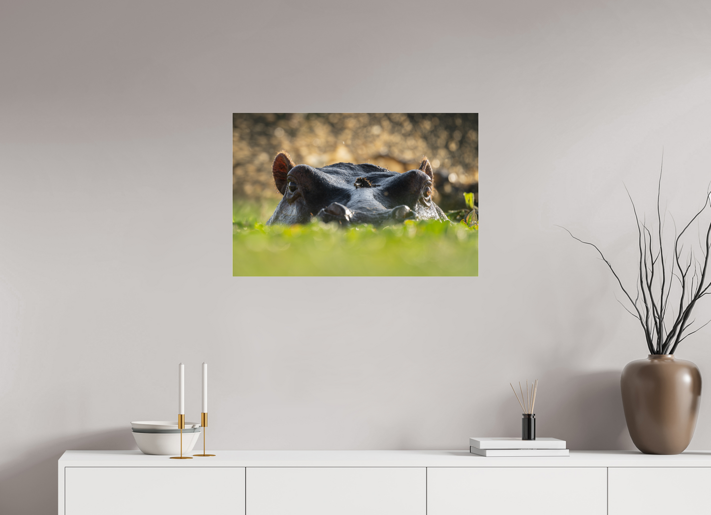 Hippo - Fine Art Photo Print