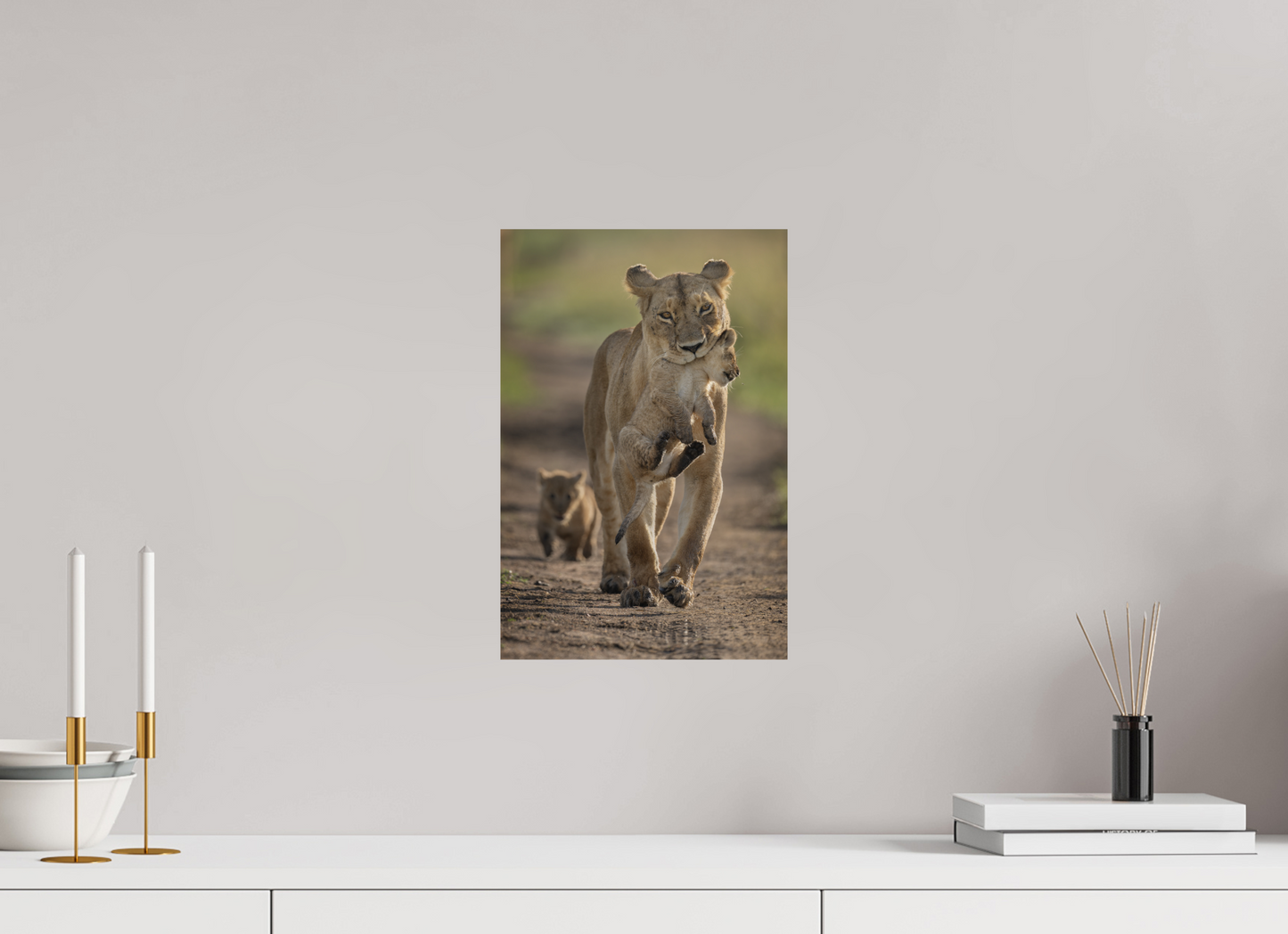 Lioness on the Move – Masai Mara