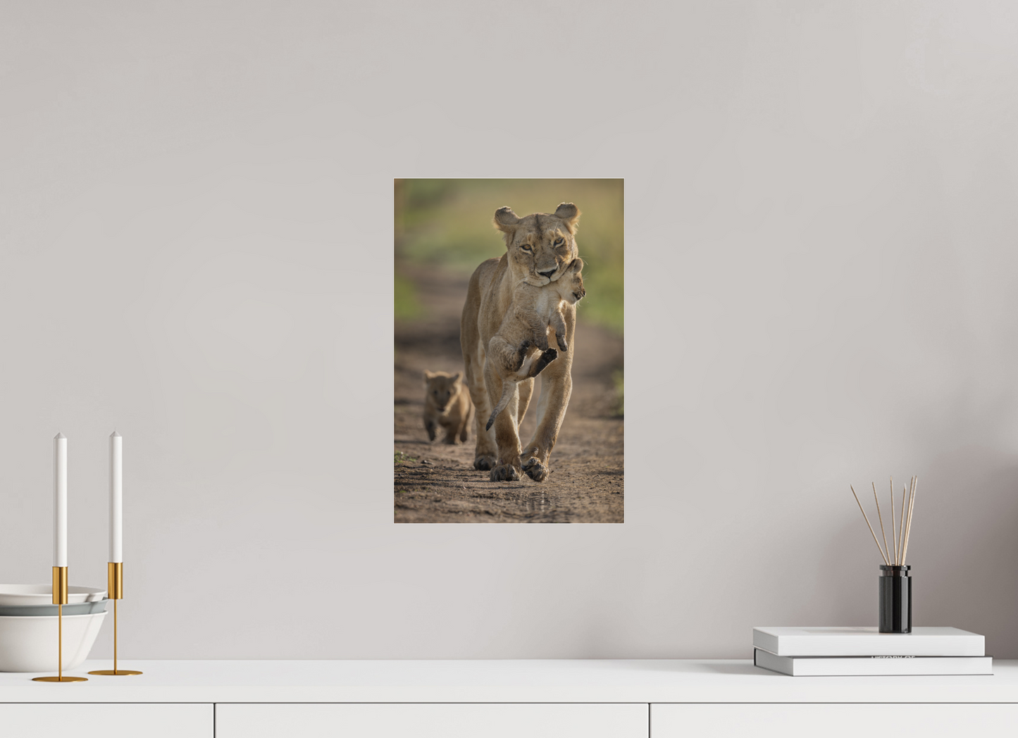 Lioness on the Move – Masai Mara