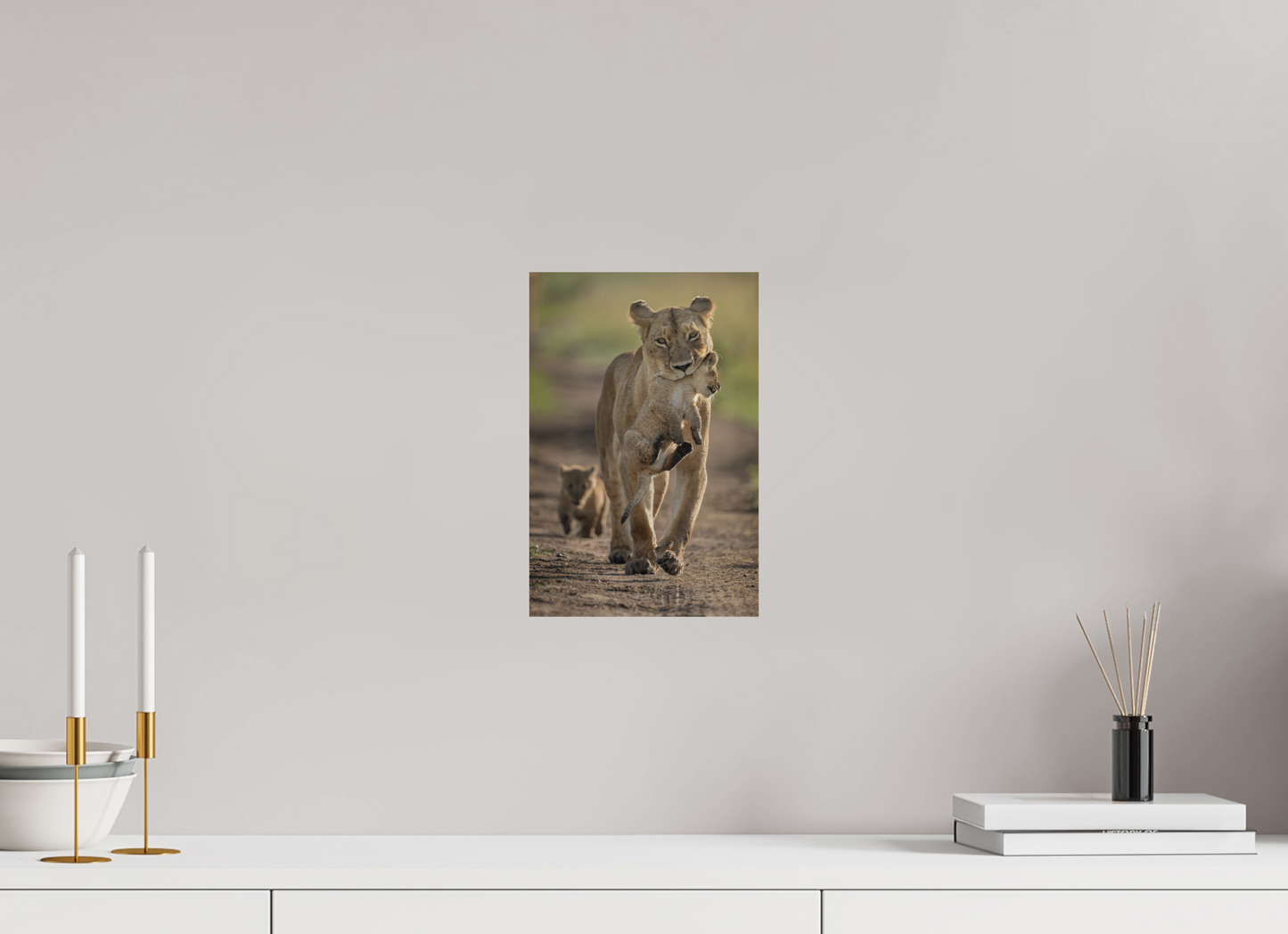 Lioness on the Move – Masai Mara